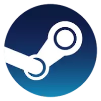 Steam